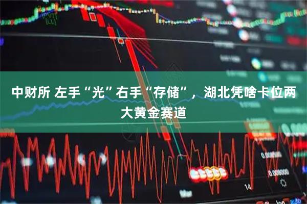 中财所 左手“光”右手“存储”，湖北凭啥卡位两大黄金赛道