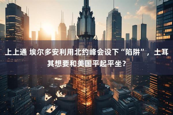 上上通 埃尔多安利用北约峰会设下“陷阱”，土耳其想要和美国平起平坐？