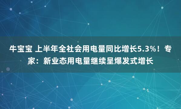 牛宝宝 上半年全社会用电量同比增长5.3%！专家：新业态用电量继续呈爆发式增长